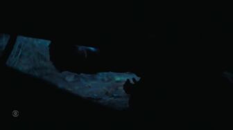 Tracker S03E10 HDTV NGP