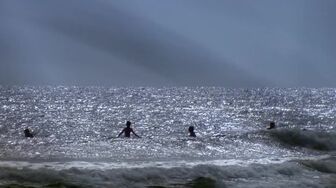 Shark Attack Files S01E04 WEB H264-RBB