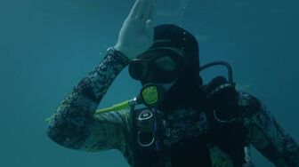 Shark Attack Files S02E03 WEB H264-RBB